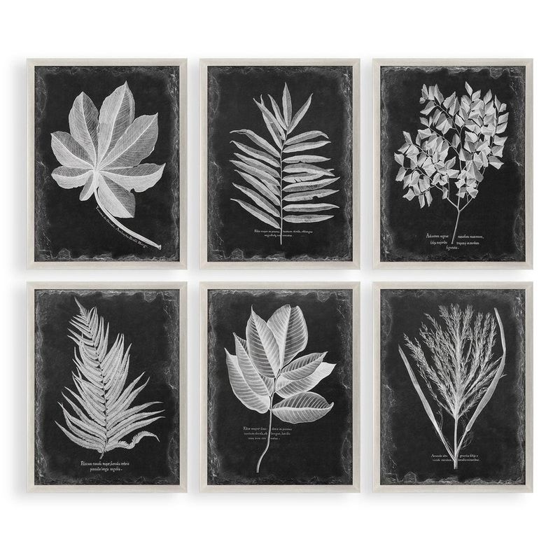 MBW - FOLIAGE PRINT 34 X 26