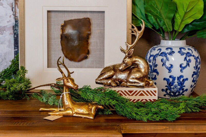Holiday Botanicals and Trees