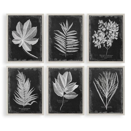 MBW - FOLIAGE PRINT 34 X 26