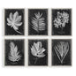 MBW - FOLIAGE PRINT 34 X 26