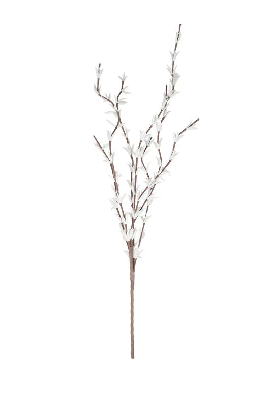 White Branch Botanica