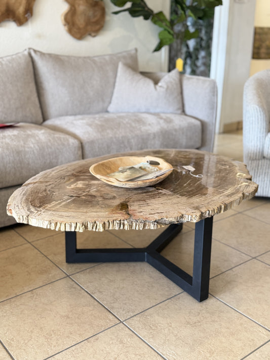 Petrified Wood Round w/ Triangle Metal Base (200lbs) 47"x33"