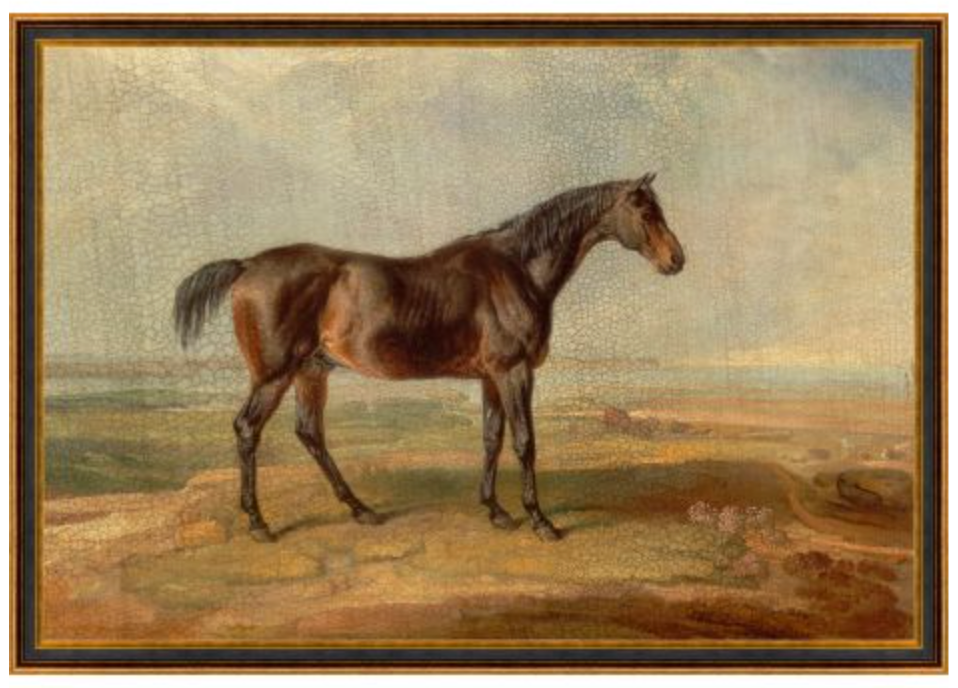 MAV- KNIGHT HORSE