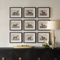 Equine Dynasty Framed Prints, Set of 9